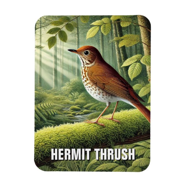 Imán Vermont State Bird Hermit Thrush (Vertical)