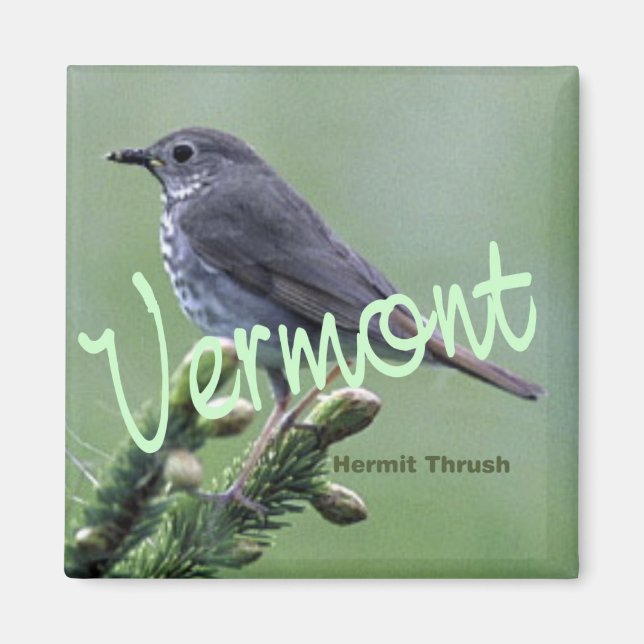 Imán Vermont State Bird Hermit Thrush Fridge Magnet (Frente)