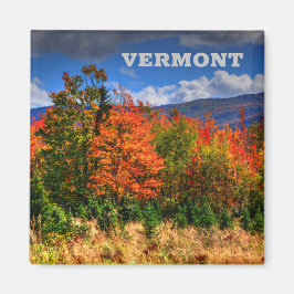 Imán Vermont Travel Magnet mostrando los cambios de col