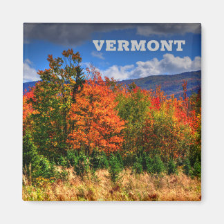 Imán Vermont Travel Magnet mostrando los cambios de col
