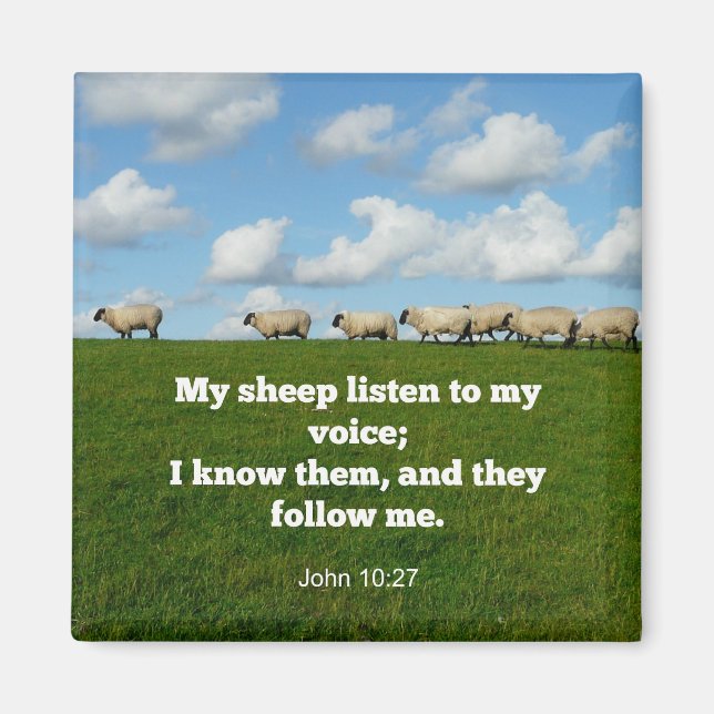Imán Verso de la Biblia, John 10:27, (Frente)