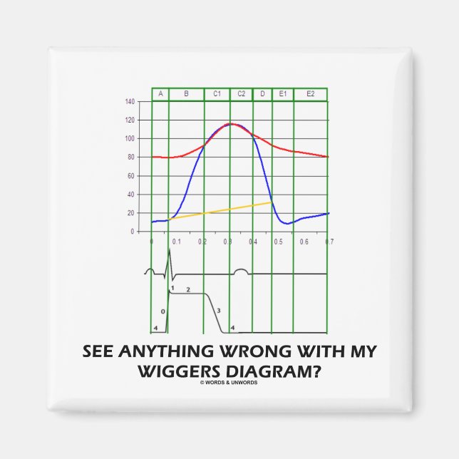 Imán ¿Ves Algo Equivocado Con Mi Diagrama De Wiggers? (Frente)