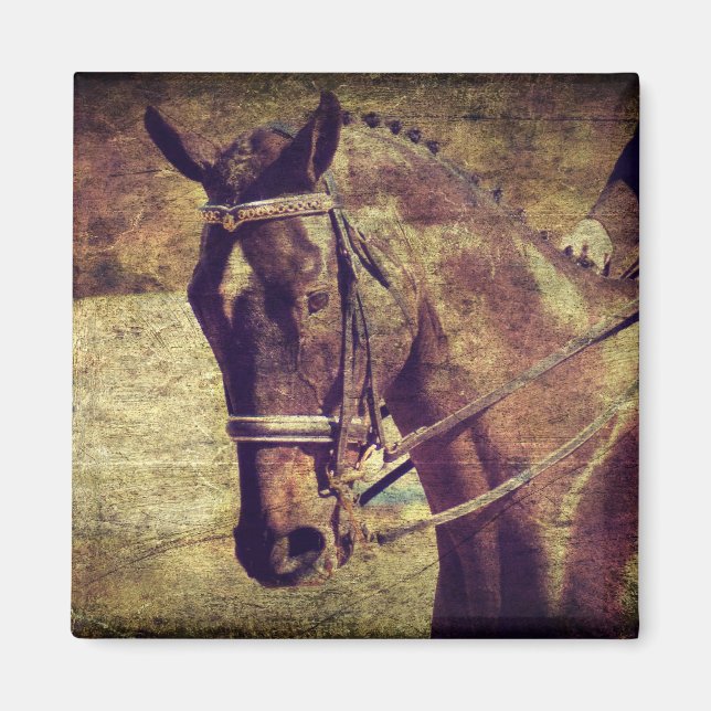 Imán Vestido (Frente)