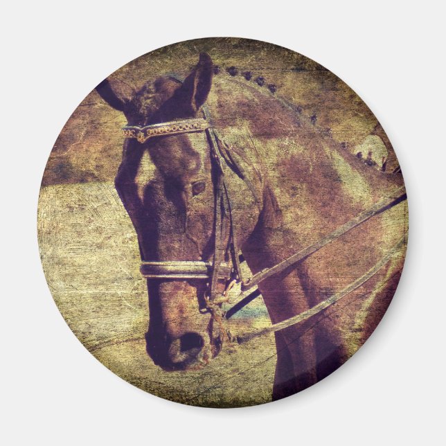 Imán Vestido (Frente)