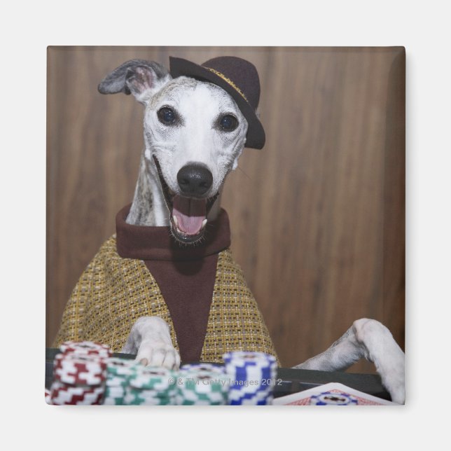 Imán Vestido blanco perro en la mesa de juego (Frente)