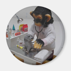 Imán Veterinario