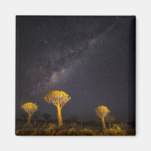Imán Vía Láctea Árbol de carcaj   Keetmanshoop Namibia