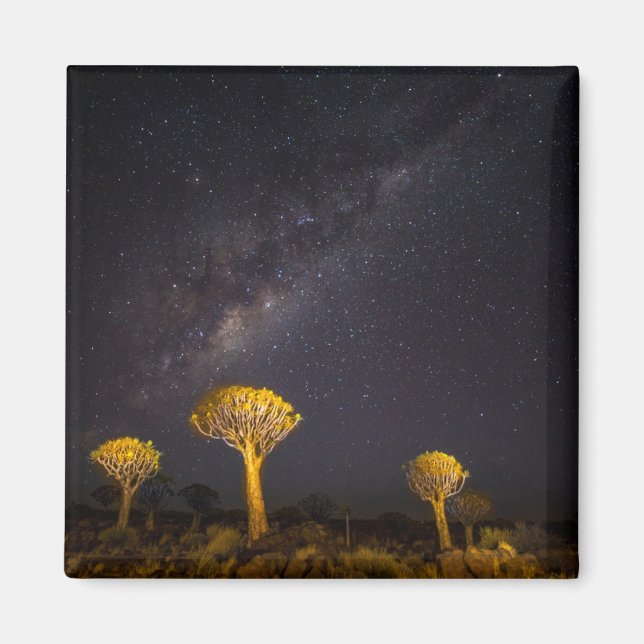 Imán Vía Láctea Árbol de carcaj | Keetmanshoop Namibia (Frente)