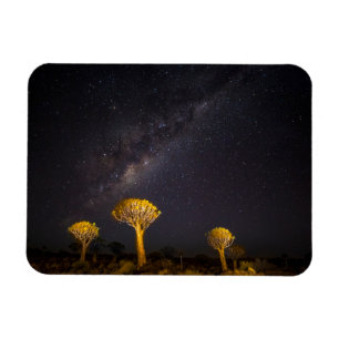 Imán Vía Láctea Quiver Tree   Keetmanshoop Namibia