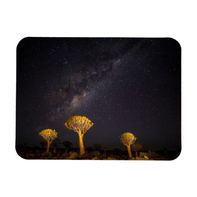 Imán Vía Láctea Quiver Tree | Keetmanshoop Namibia (Horizontal)