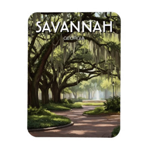 Imán Viaje a Savannah Georgia