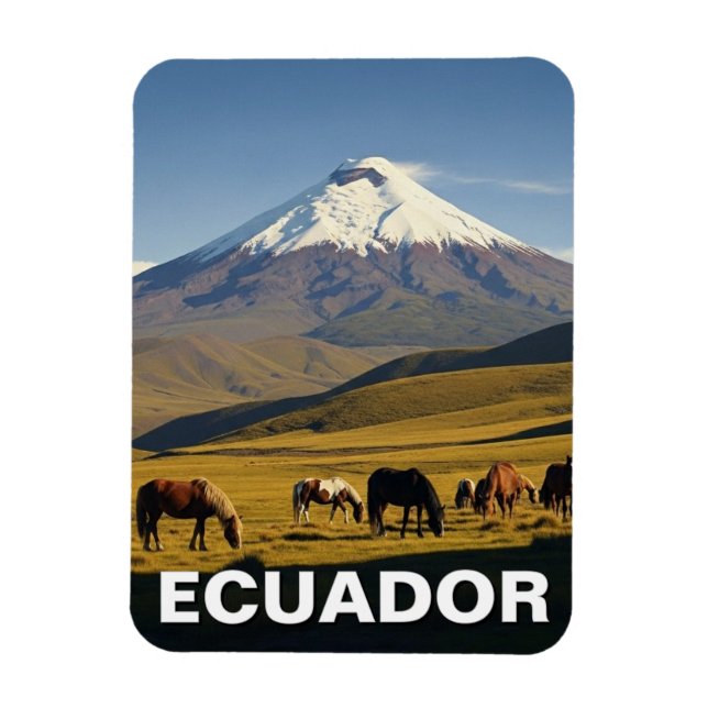 Imán viaje al Parque Nacional Cotopaxi Ecuador (Vertical)