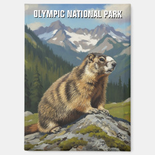 Imán Viaje al parque nacional olímpico de Washington