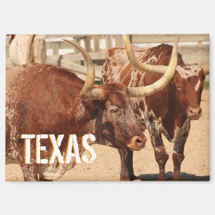 Imán Viaje de Texas Longhorn