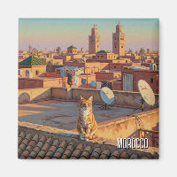 Viaje de un gato por Marruecos en Marrakech