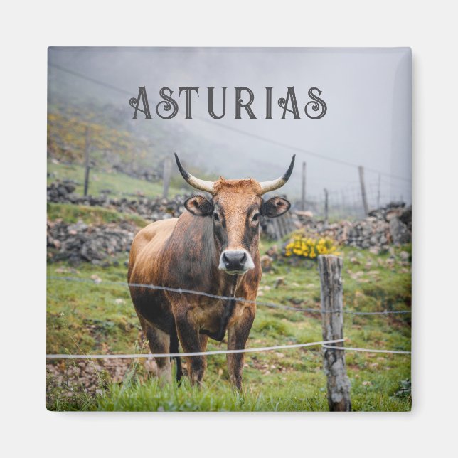 Imán Viaje de vaca de montaña de Asturias (Frente)