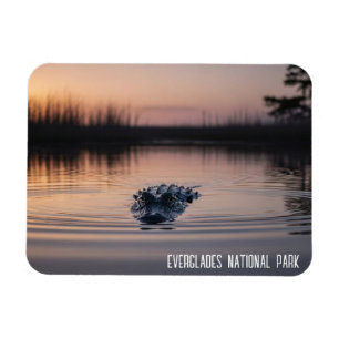 Imán Viaje por los Everglades de Florida con Cocodrilos