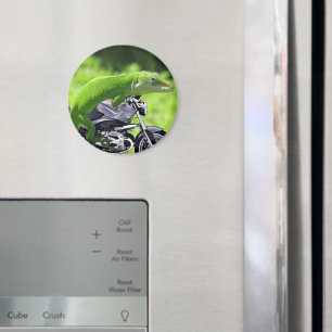 Imán Viajero gecko verde hawaiano