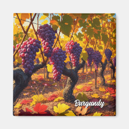 Imán Viajes de uvas en la Francia de Borgoña