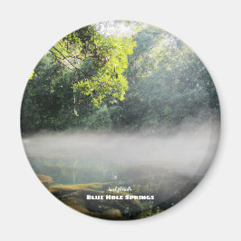 Imán Viajes | Florida - Blue Hole Springs Foggy Morning