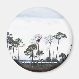 Imán Viajes | Florida - Nido de Águilas