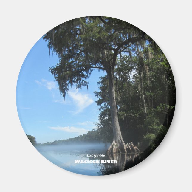 Imán Viajes | Florida - Wacissa River Cypress (Frente)