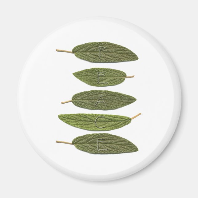 Imán VIBIRNUM deja la PAZ (Frente)