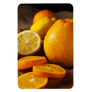 Imán Vibrant Citrus Fruits Refrigerator Magnet