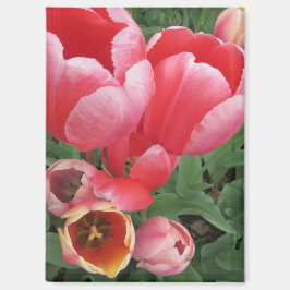 Imán Vibrante foto de tulipanes rosados