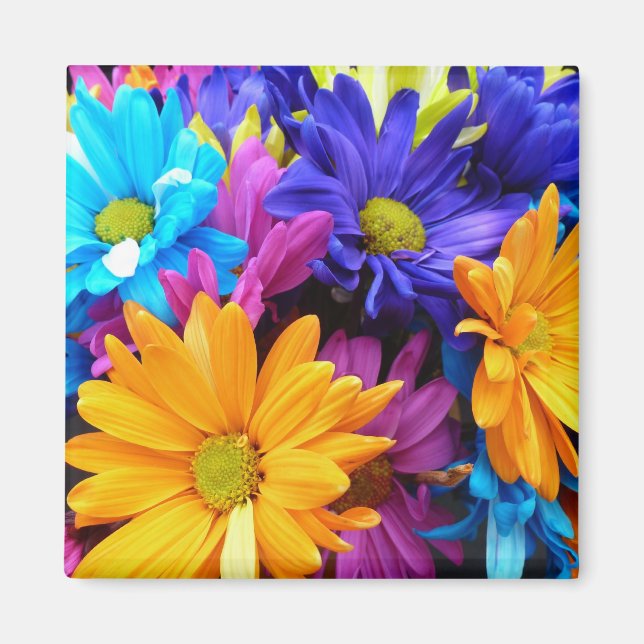 Imán Vibrante Gerbera Daisy Bouquet (Frente)