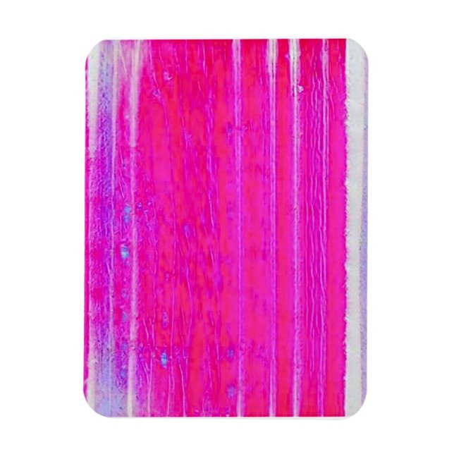 Imán Vibrante Resumen de rayas rosadas y moradas arte (Vertical)