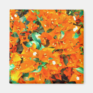 Imán Vibrantes Flores de Buganvilla Naranja