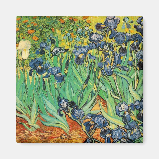 Imán Vicent van Gogh, Lirios (Frente)
