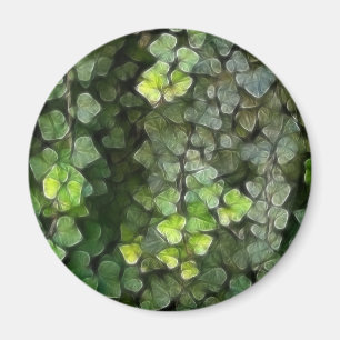 Imán Vid 6 de la hiedra