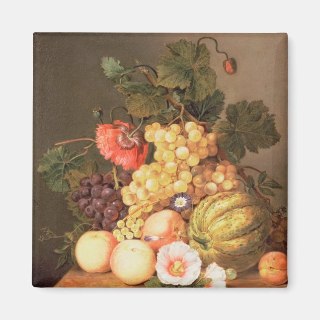 Imán Vida con fruta (Frente)