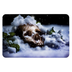 Imán Vida de invierno IV