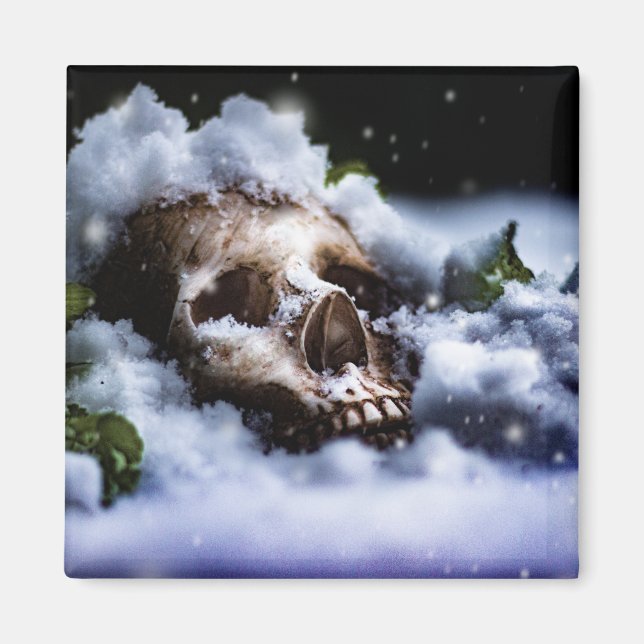 Imán Vida de invierno IV (Frente)