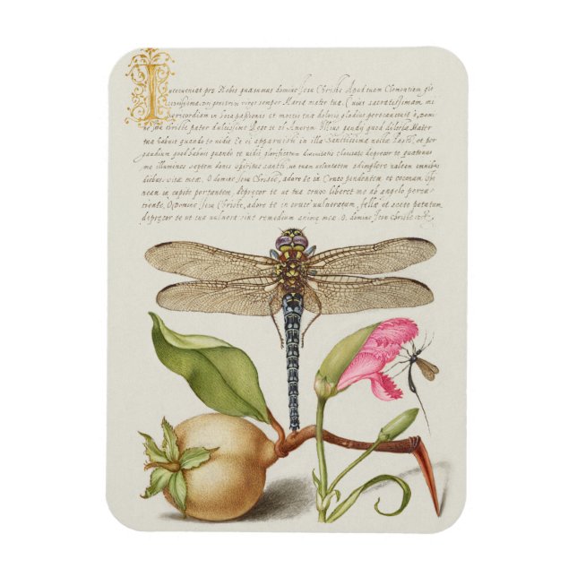 Imán Vida de jardín, libélula, pera, clavel e insecto (Vertical)