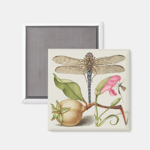 Imán Vida de jardín, libélula, pera, clavel e insecto