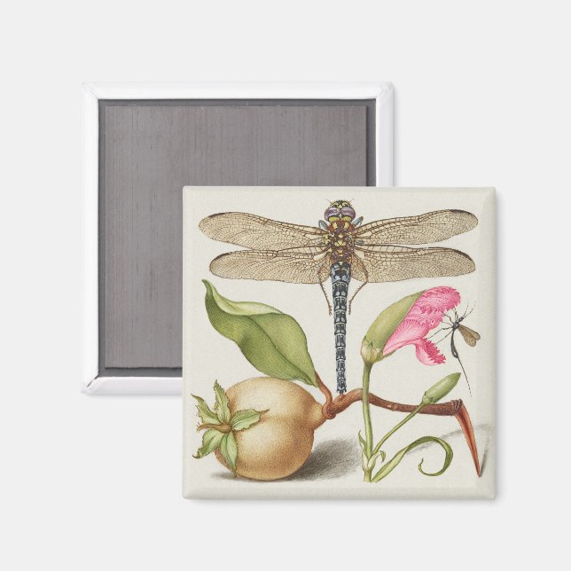 Imán Vida de jardín, libélula, pera, clavel e insecto (Anverso/Reverso)