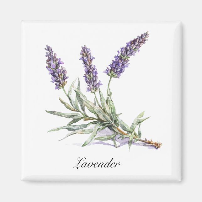 Imán Vida herbal: Lavanda, personalizable (Frente)