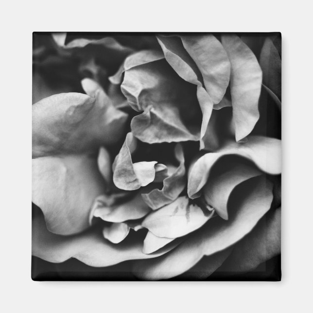 Imán vida interior en desarrollo (Frente)