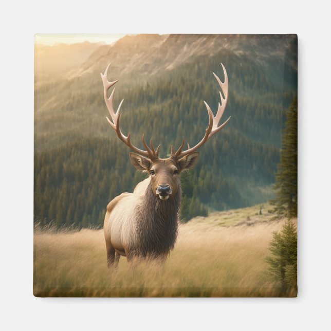 Imán Vida silvestre de los Elks norteamericanos: Moose, (Frente)