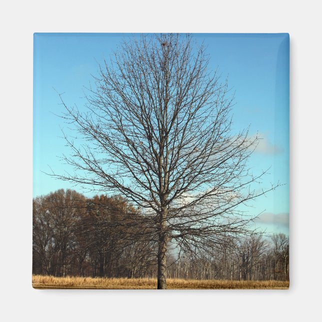 Imán Vida silvestre Hatchie - Árbol (Frente)