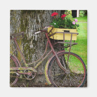 Vieja bicicleta antigua con cesta de flores