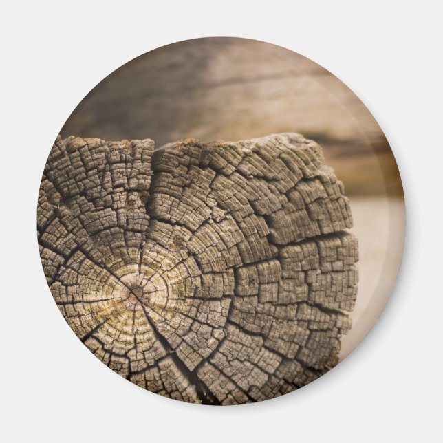 Imán Viejas texturas de cabina (Frente)