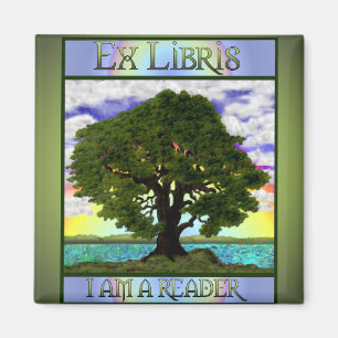 Imán viejo del roble