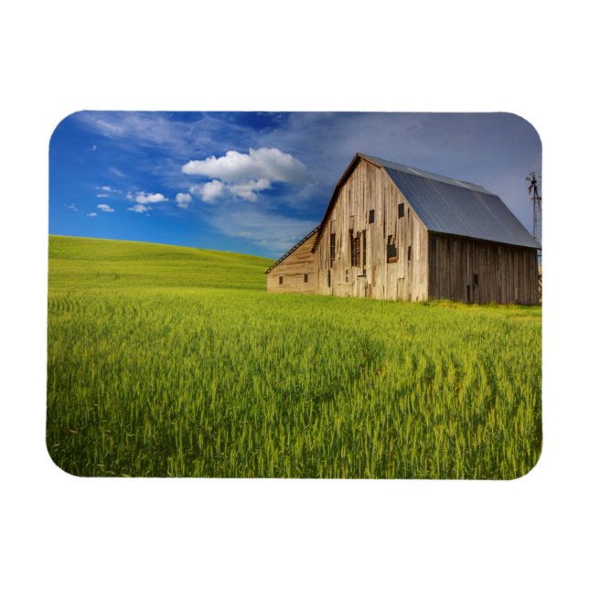 Imán Viejo granero en campo de trigo de primavera (Horizontal)