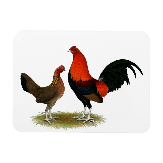 Imán Viejo juego inglés Bantams: BB Red Pair (Horizontal)