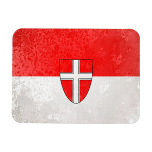Imán Viena